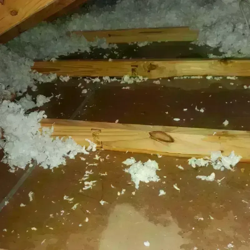 Attic Water Damage in Midland City, AL