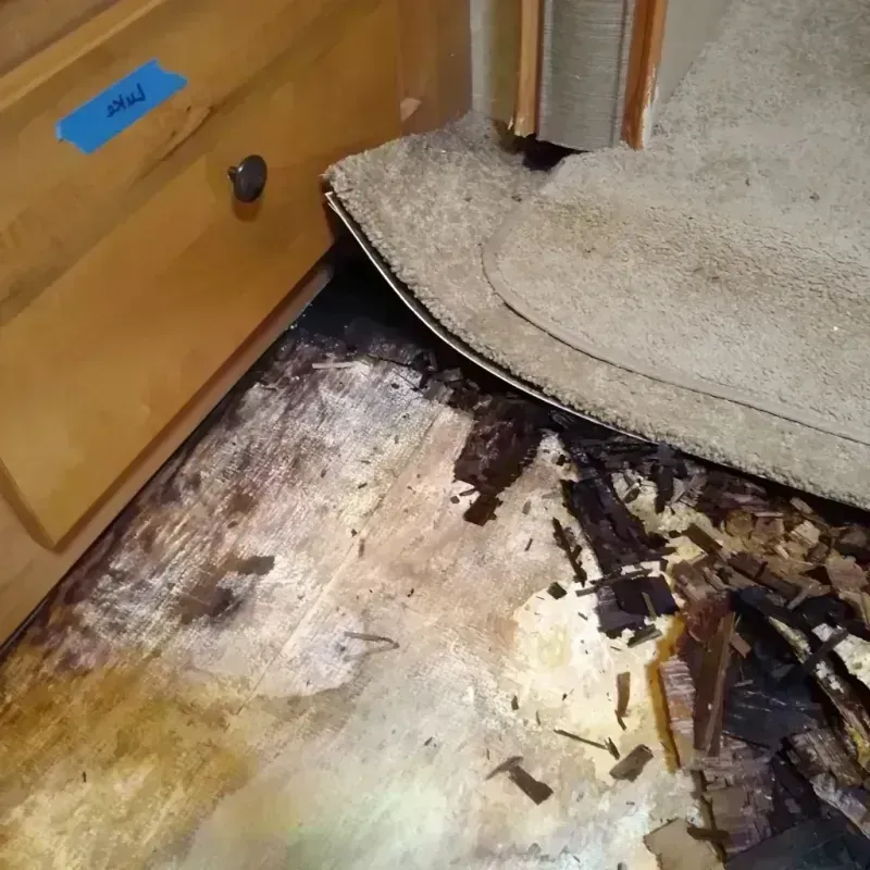 Wood Floor Water Damage in Midland City, AL